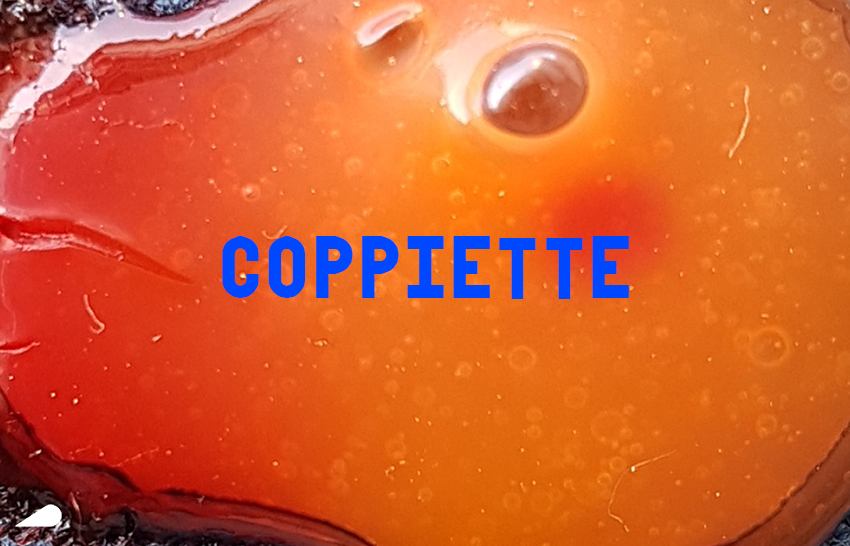 Andrea Kvas – Coppiette